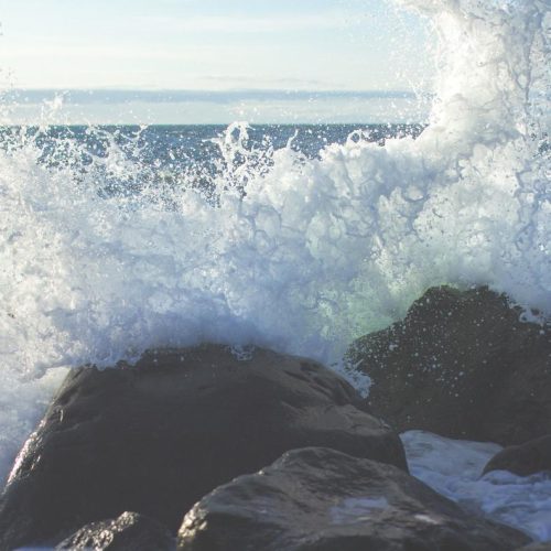 Porro maiores consequuntur natus quam consequuntur quas