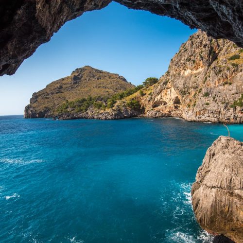 Sed ex dolorum est sed velit qui