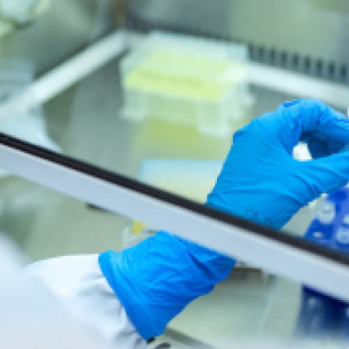 Aut incidunt aut deleniti